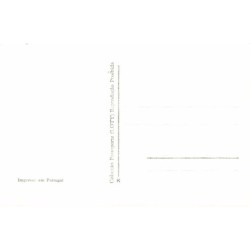 Rare collectable postcards of PORTUGAL. Vintage Postcards of PORTUGAL