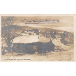 Rare collectable postcards of UKRAINE. Vintage Postcards of UKRAINE