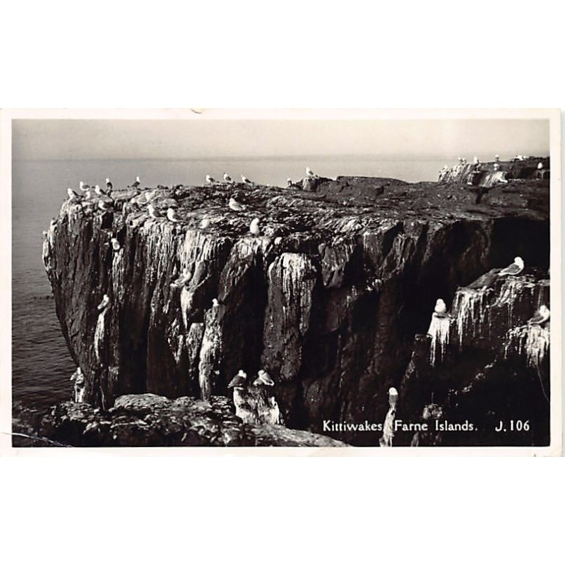 Rare collectable postcards of ENGLAND. Vintage Postcards of ENGLAND