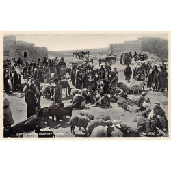 Rare collectable postcards of ISRAEL & PALESTINE. Vintage Postcards of ISRAEL & PALESTINE