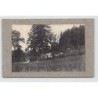 Rare collectable postcards of SWITZERLAND Suisse Schweiz Svizzera. Vintage Postcards of SWITZERLAND Suisse Schweiz Svizzera