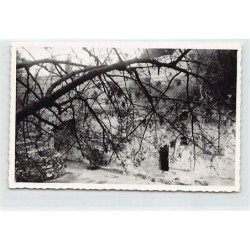 Rare collectable postcards of ISRAEL & PALESTINE. Vintage Postcards of ISRAEL & PALESTINE