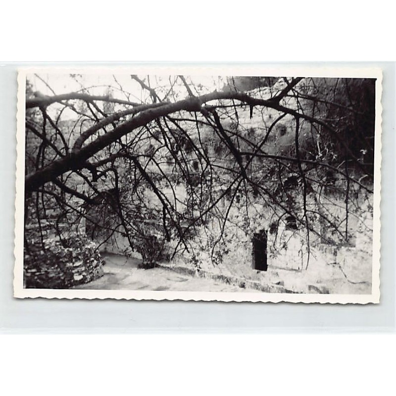 Rare collectable postcards of ISRAEL & PALESTINE. Vintage Postcards of ISRAEL & PALESTINE