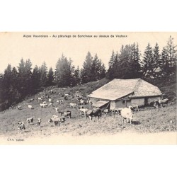 Rare collectable postcards of SWITZERLAND Suisse Schweiz Svizzera. Vintage Postcards of SWITZERLAND Suisse Schweiz Svizzera