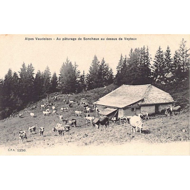 Rare collectable postcards of SWITZERLAND Suisse Schweiz Svizzera. Vintage Postcards of SWITZERLAND Suisse Schweiz Svizzera