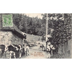 Rare collectable postcards of SWITZERLAND Suisse Schweiz Svizzera. Vintage Postcards of SWITZERLAND Suisse Schweiz Svizzera