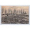 Rare collectable postcards of JUDAICA. Vintage Postcards of JUDAICA