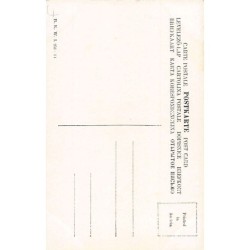 Rare collectable postcards of EGYPT. Vintage Postcards of EGYPT