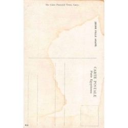 Rare collectable postcards of EGYPT. Vintage Postcards of EGYPT