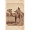 Rare collectable postcards of EGYPT. Vintage Postcards of EGYPT