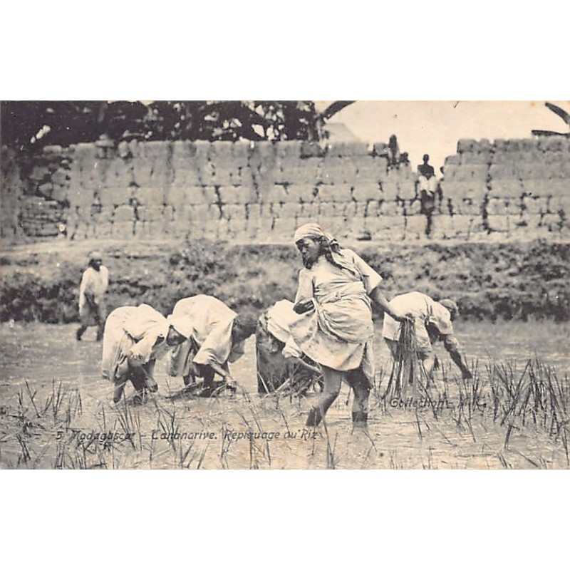 Rare collectable postcards of MADAGASCAR. Vintage Postcards of MADAGASCAR