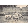 Rare collectable postcards of MADAGASCAR. Vintage Postcards of MADAGASCAR