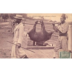Rare collectable postcards of MADAGASCAR. Vintage Postcards of MADAGASCAR