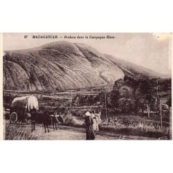 Rare collectable postcards of MADAGASCAR. Vintage Postcards of MADAGASCAR