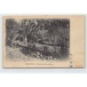 Rare collectable postcards of MADAGASCAR. Vintage Postcards of MADAGASCAR