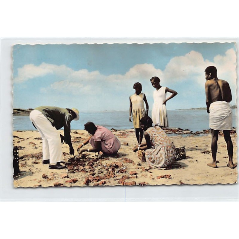Rare collectable postcards of MADAGASCAR. Vintage Postcards of MADAGASCAR