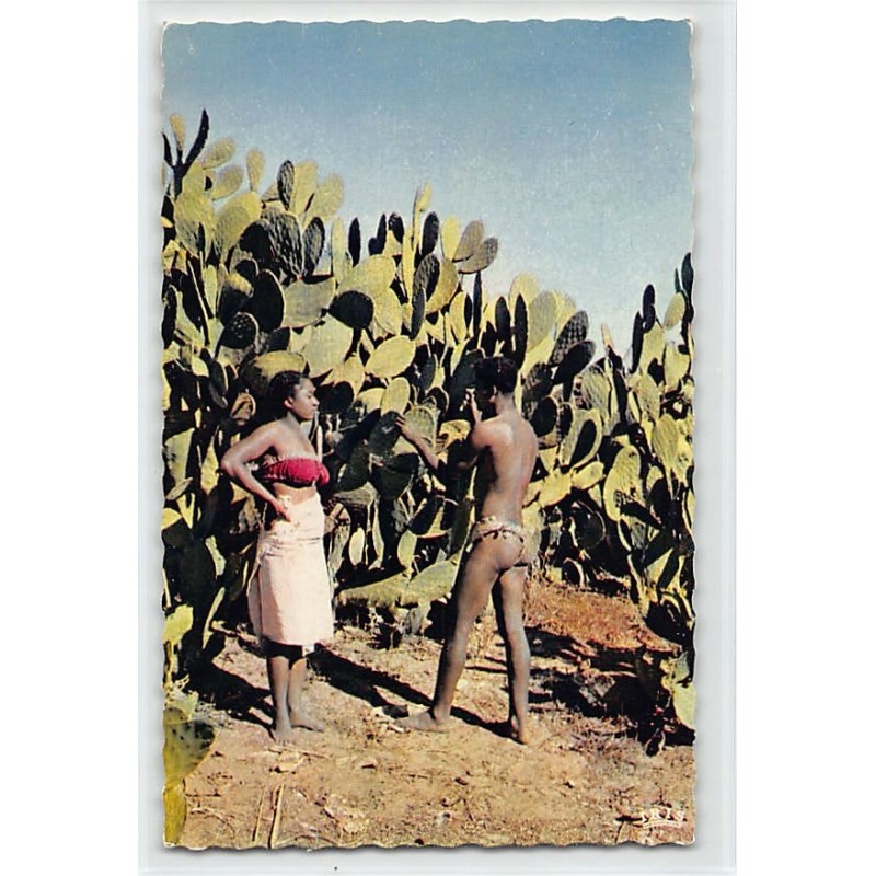 Rare collectable postcards of MADAGASCAR. Vintage Postcards of MADAGASCAR