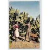 Rare collectable postcards of MADAGASCAR. Vintage Postcards of MADAGASCAR