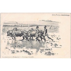 Rare collectable postcards of MADAGASCAR. Vintage Postcards of MADAGASCAR