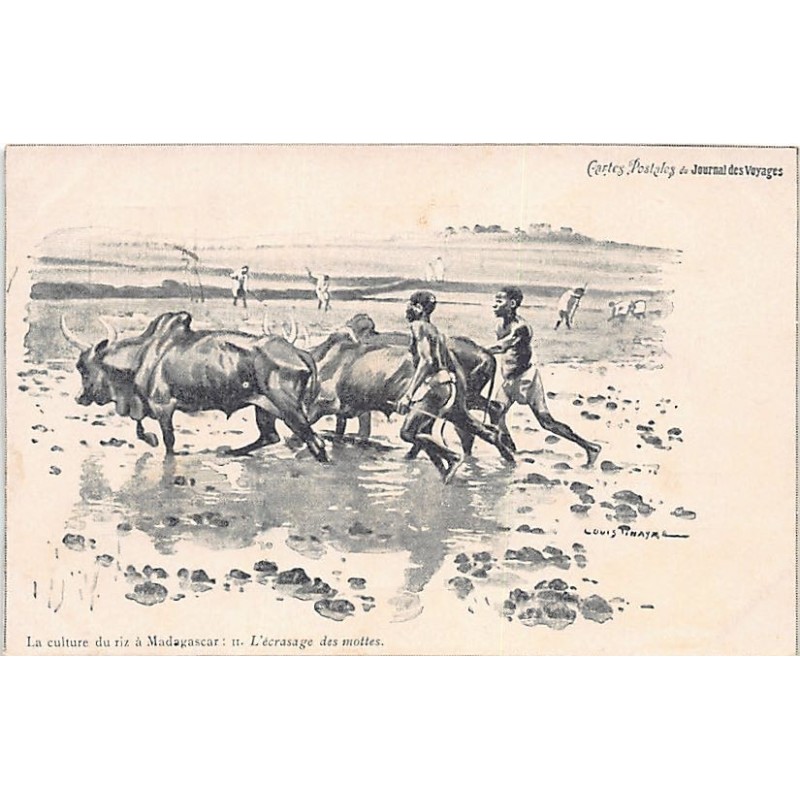 Rare collectable postcards of MADAGASCAR. Vintage Postcards of MADAGASCAR