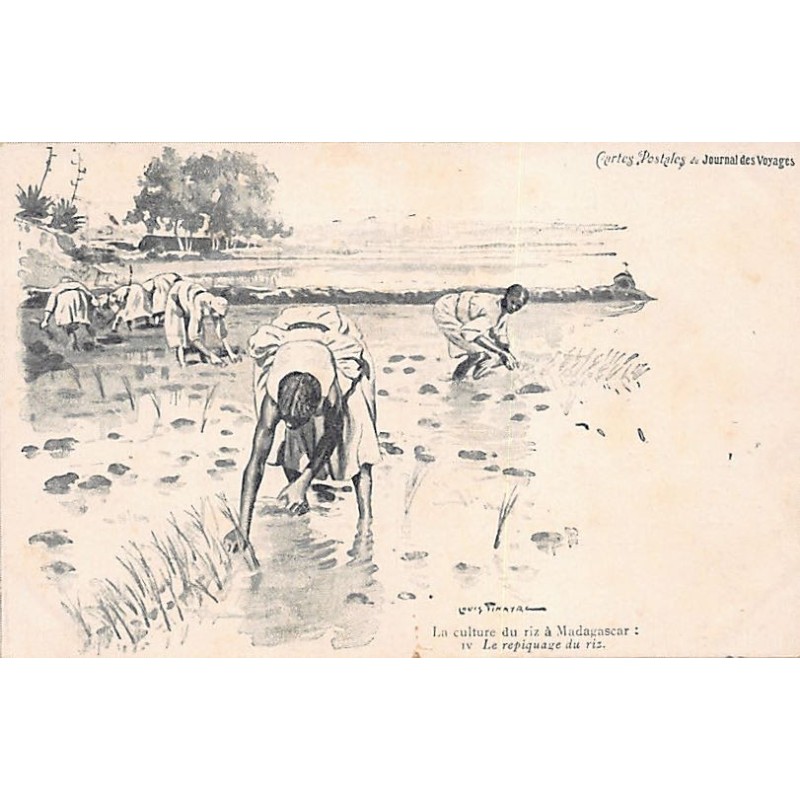 Rare collectable postcards of MADAGASCAR. Vintage Postcards of MADAGASCAR