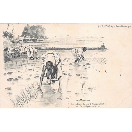 Rare collectable postcards of MADAGASCAR. Vintage Postcards of MADAGASCAR