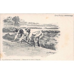 Rare collectable postcards of MADAGASCAR. Vintage Postcards of MADAGASCAR