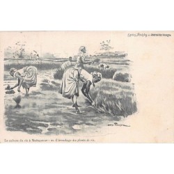 Rare collectable postcards of MADAGASCAR. Vintage Postcards of MADAGASCAR