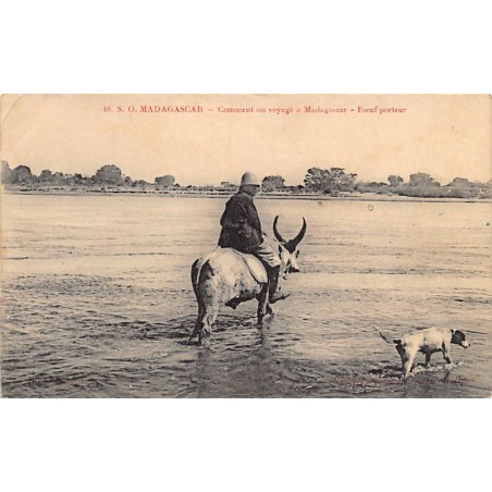 Rare collectable postcards of MADAGASCAR. Vintage Postcards of MADAGASCAR