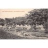 Rare collectable postcards of SENEGAL. Vintage Postcards of SENEGAL