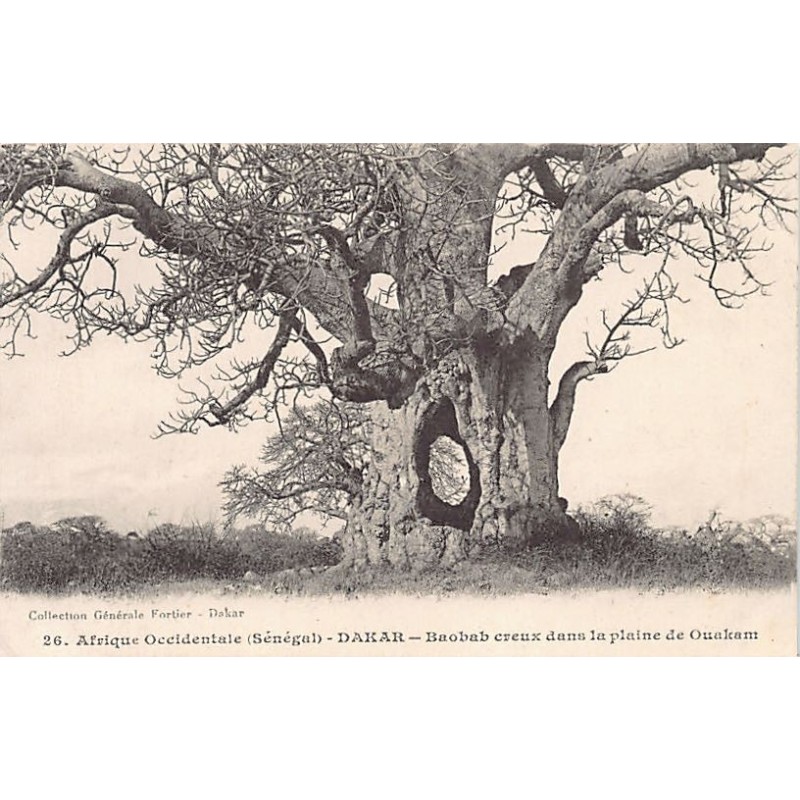 Rare collectable postcards of SENEGAL. Vintage Postcards of SENEGAL