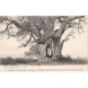 Rare collectable postcards of SENEGAL. Vintage Postcards of SENEGAL
