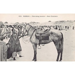 Rare collectable postcards of SENEGAL. Vintage Postcards of SENEGAL