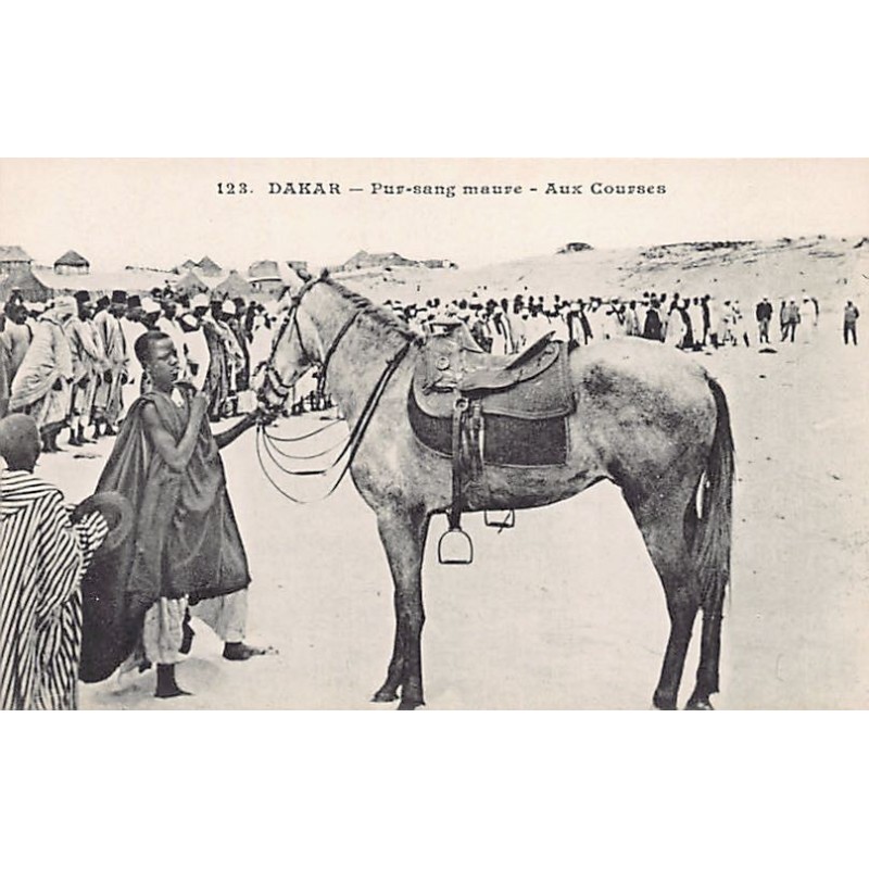 Rare collectable postcards of SENEGAL. Vintage Postcards of SENEGAL