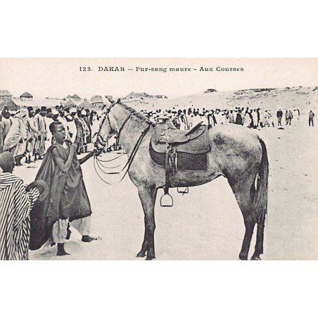 Rare collectable postcards of SENEGAL. Vintage Postcards of SENEGAL
