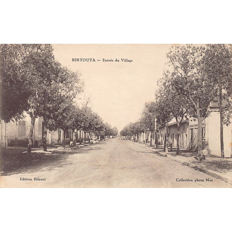 Rare collectable postcards of ALGERIE. Vintage Postcards of ALGERIE