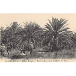 Rare collectable postcards of ALGERIE. Vintage Postcards of ALGERIE