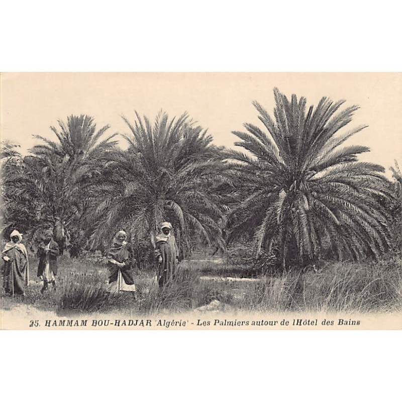 Rare collectable postcards of ALGERIE. Vintage Postcards of ALGERIE