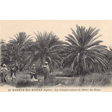 Rare collectable postcards of ALGERIE. Vintage Postcards of ALGERIE