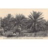 Rare collectable postcards of ALGERIE. Vintage Postcards of ALGERIE