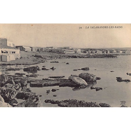 Rare collectable postcards of ALGERIE. Vintage Postcards of ALGERIE