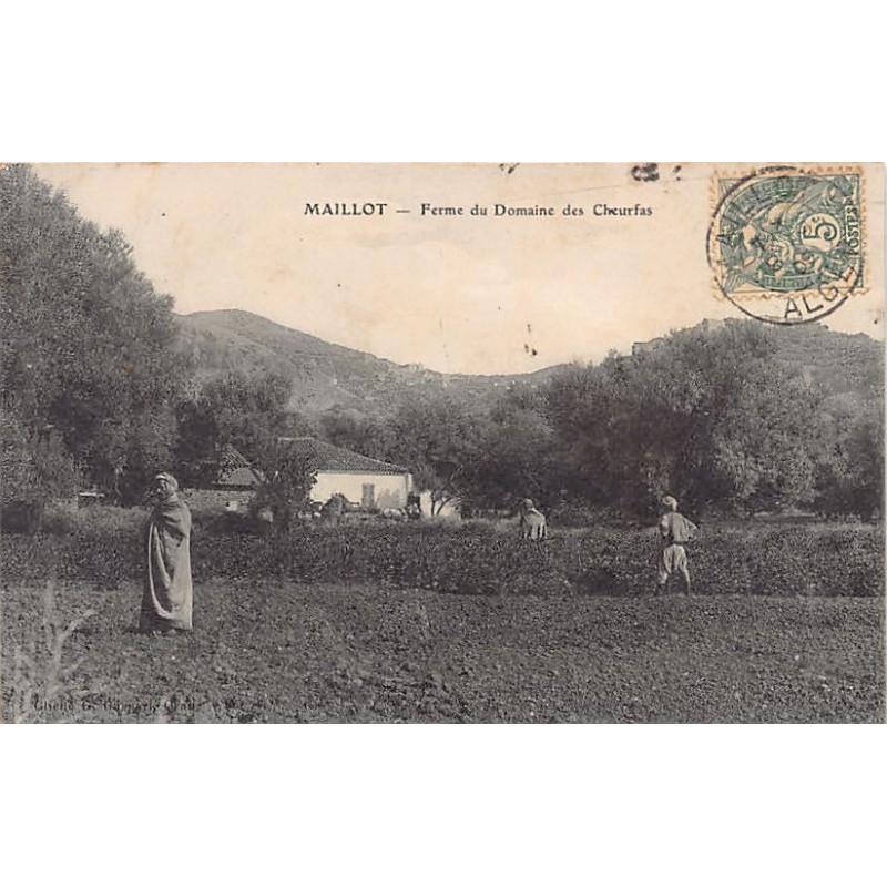 Rare collectable postcards of ALGERIE. Vintage Postcards of ALGERIE