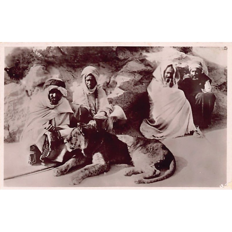 Rare collectable postcards of ALGERIE. Vintage Postcards of ALGERIE