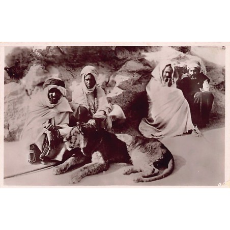 Rare collectable postcards of ALGERIE. Vintage Postcards of ALGERIE