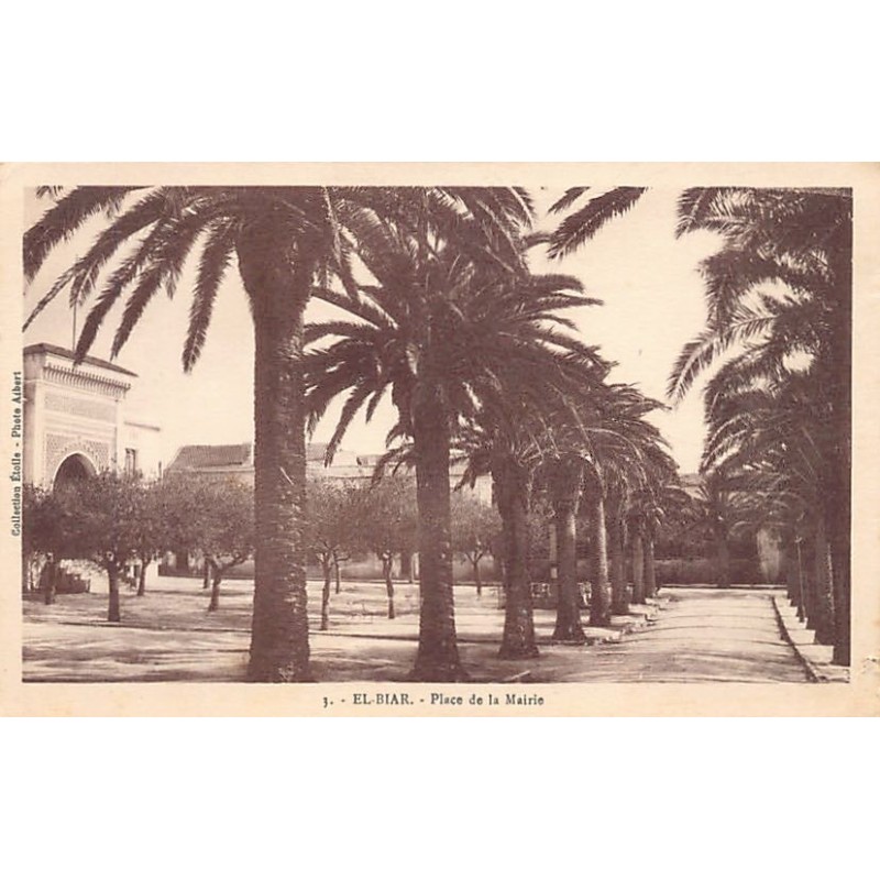 Rare collectable postcards of ALGERIE. Vintage Postcards of ALGERIE