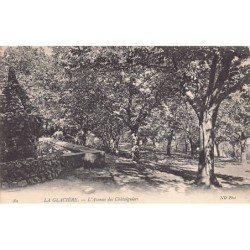 Rare collectable postcards of ALGERIE. Vintage Postcards of ALGERIE