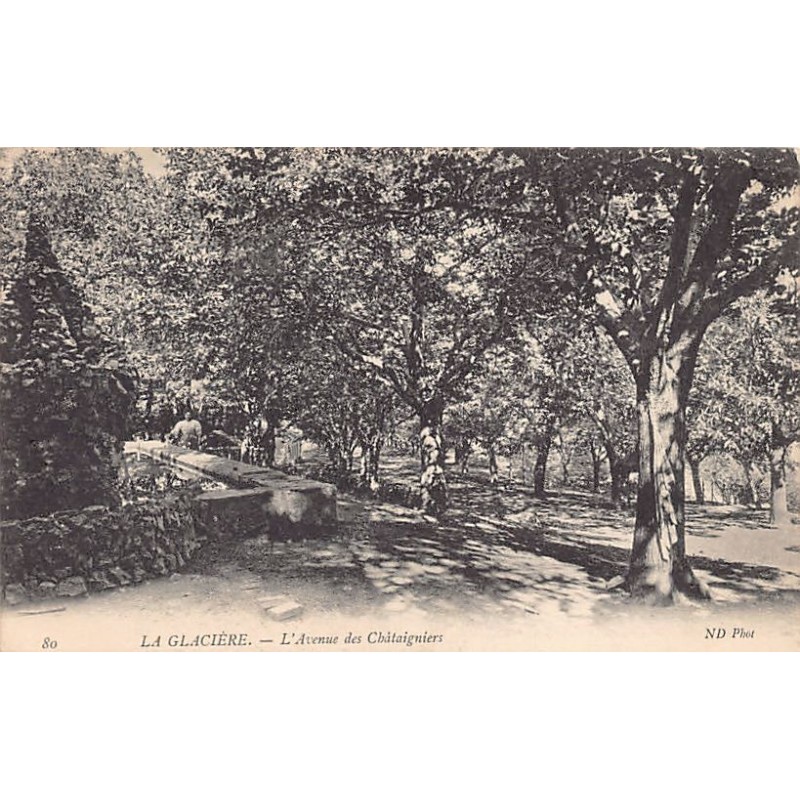 Rare collectable postcards of ALGERIE. Vintage Postcards of ALGERIE