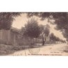 Rare collectable postcards of ALGERIE. Vintage Postcards of ALGERIE