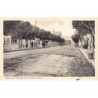 Rare collectable postcards of ALGERIE. Vintage Postcards of ALGERIE