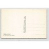 Rare collectable postcards of ALGERIE. Vintage Postcards of ALGERIE